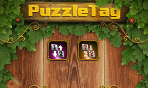 Puzzletag