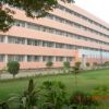 Pt. B D Sharma Postgraduate Institute of Medical Sciences